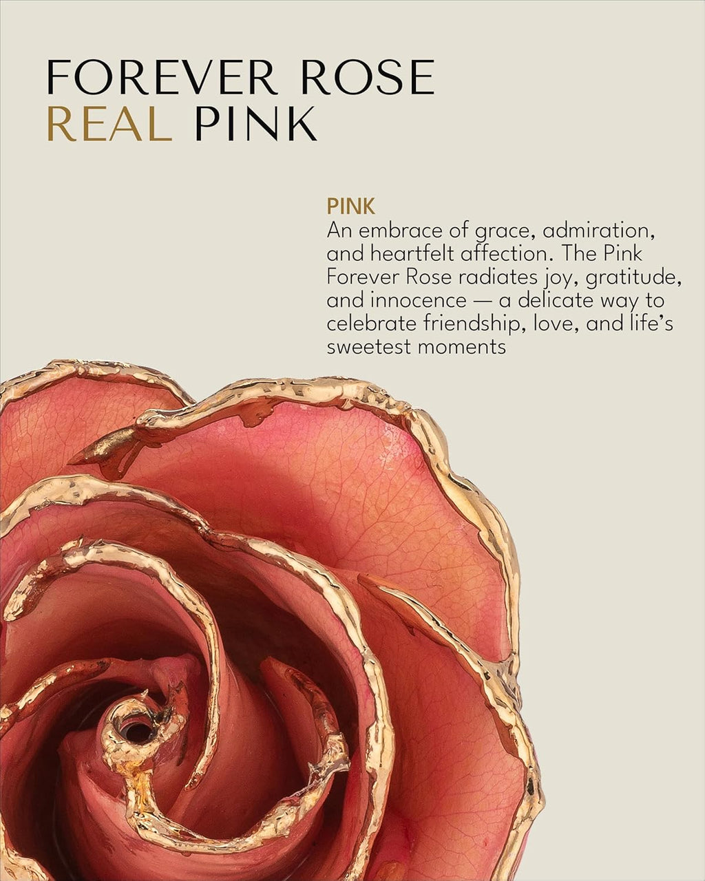 Real Pink Rose Dipped in 24K Gold with Gold-Trimmed Petals and Stem, Handcrafted Preserved Rose in Luxury Gift Box, Romantic Gift for Her