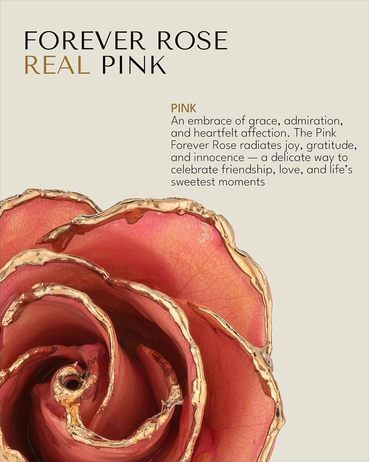 Real Pink Rose Dipped in 24K Gold with Gold-Trimmed Petals and Stem, Handcrafted Preserved Rose in Luxury Gift Box, Romantic Gift for Her